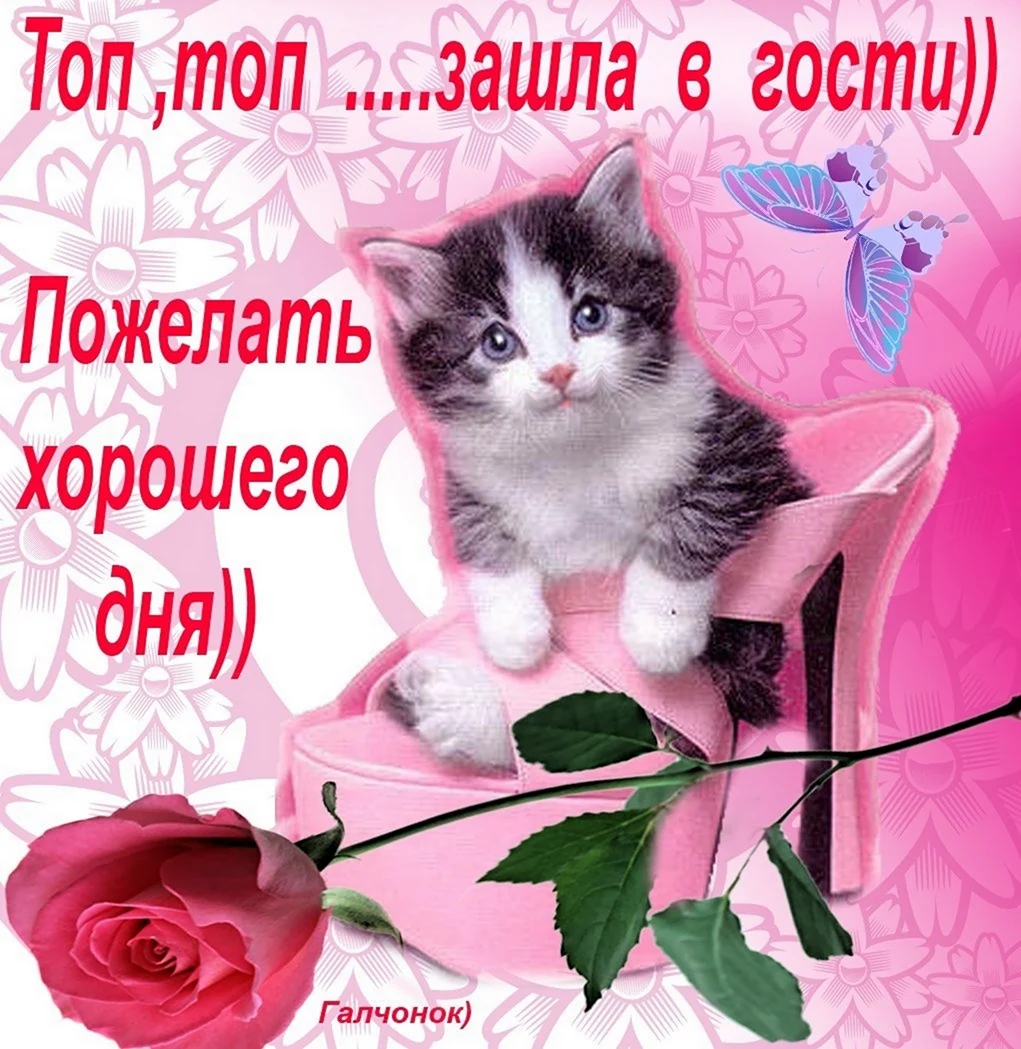 Добрые пожелания подруге