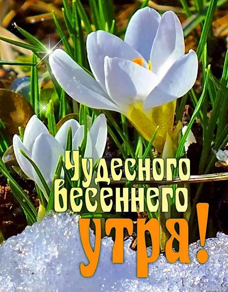 Добрый день картинки