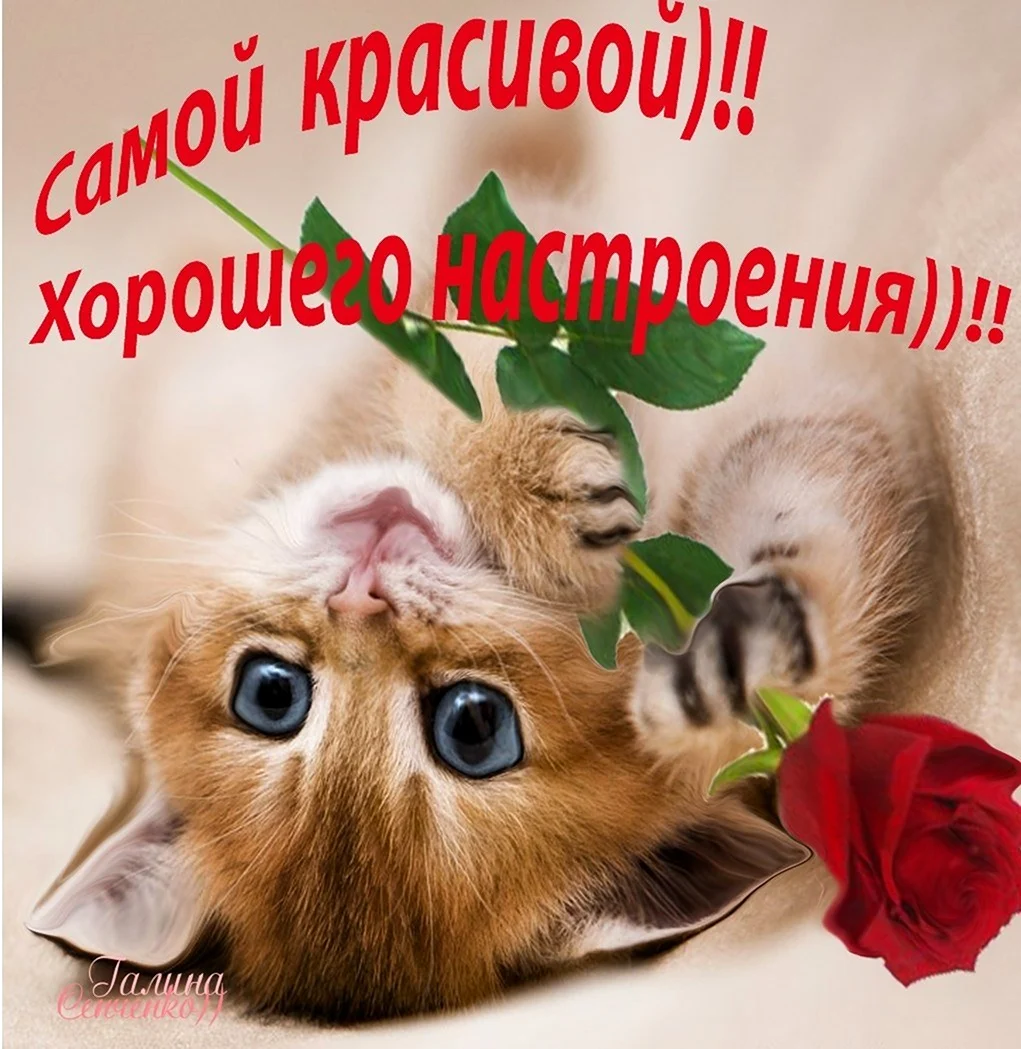 Добрый день Наташенька