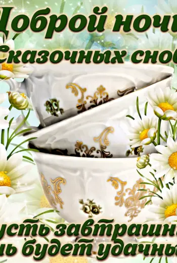 Добрый вечер ромашки