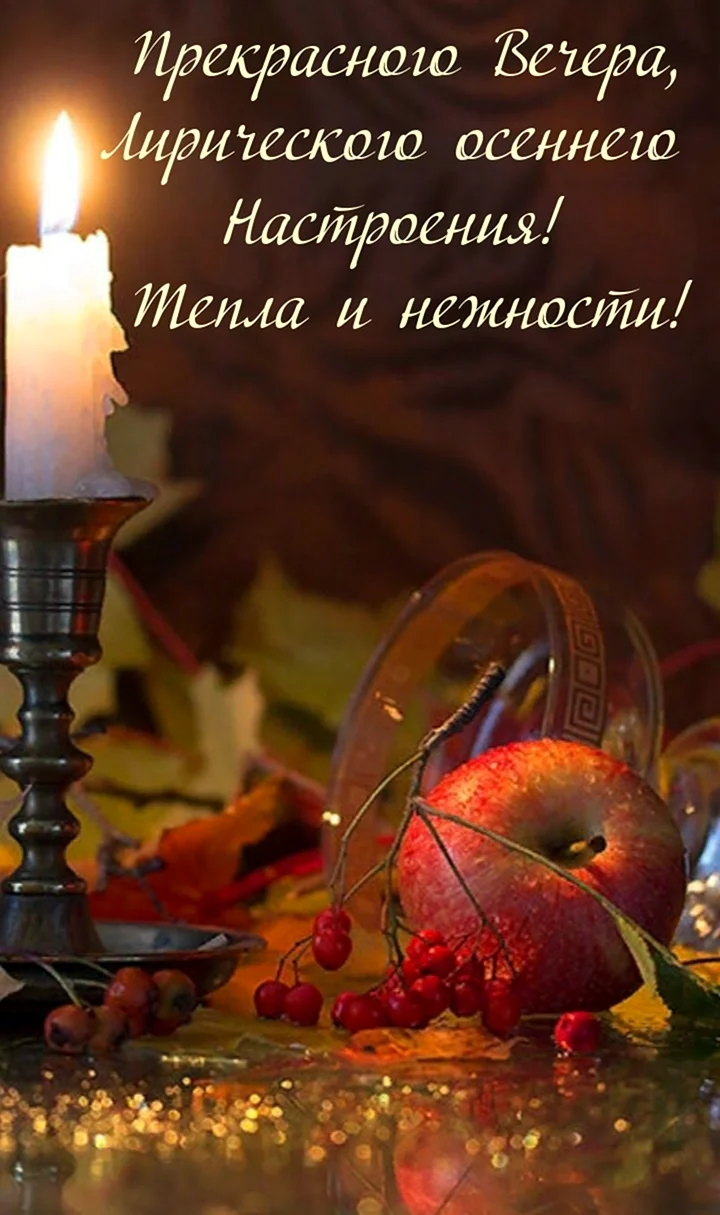 Добрый вечер цитаты