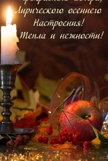 Добрый вечер цитаты
