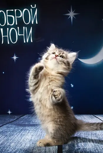 Добрых снов