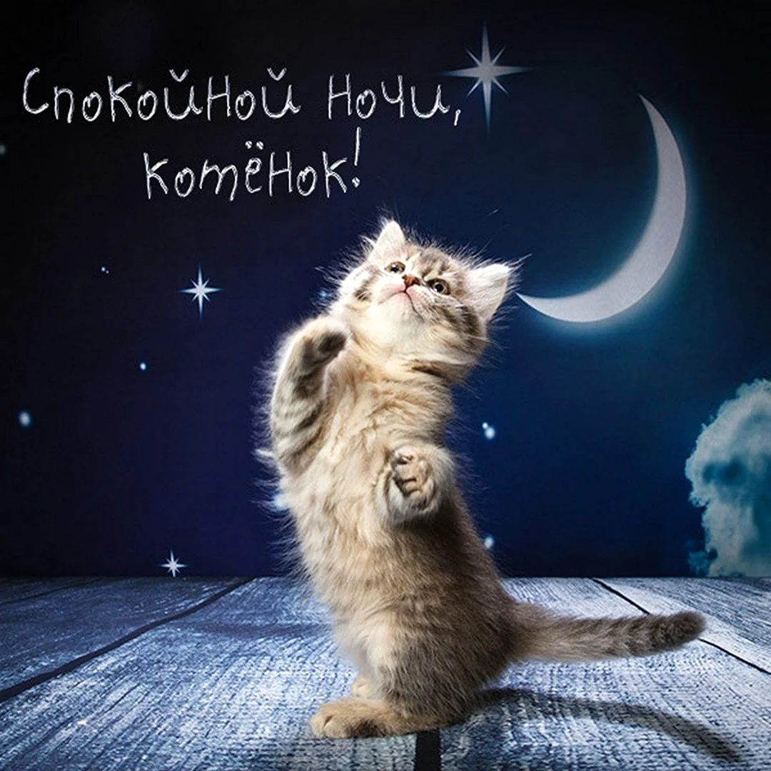 Добрых снов
