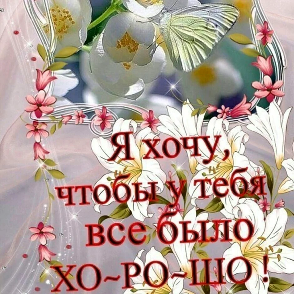 Добрым людям добрый день
