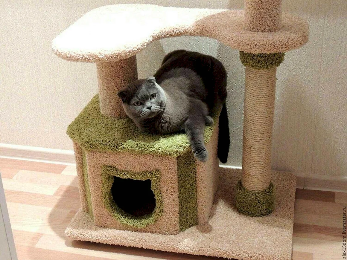 Дом для кошки