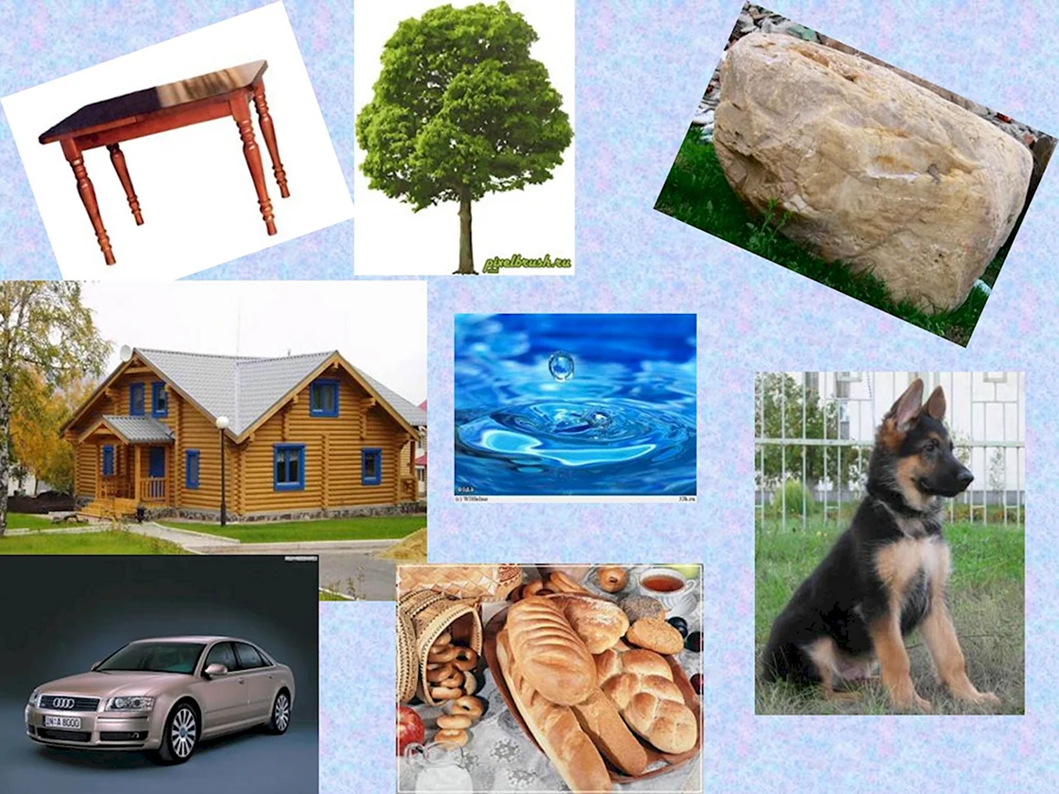 Дом это объект неживой природы