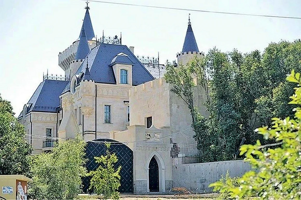 Дом Максима Галкина в деревне грязь