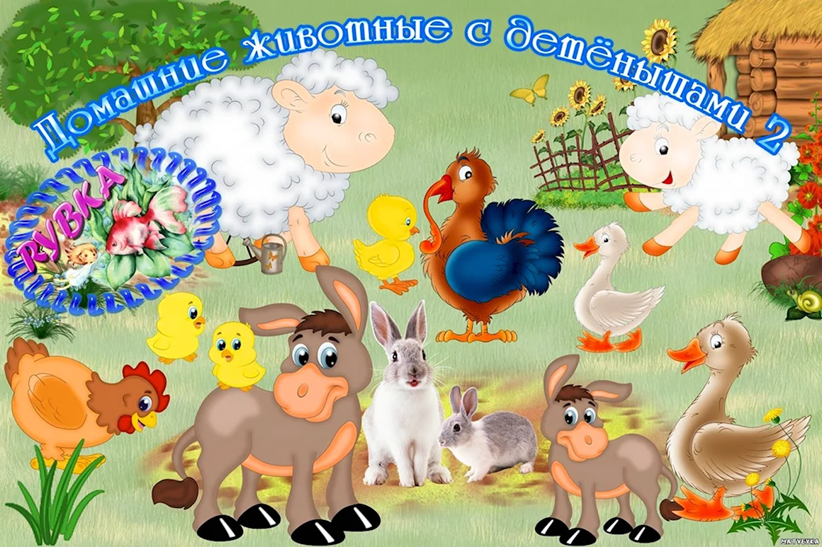 Домашние животные для детского сада