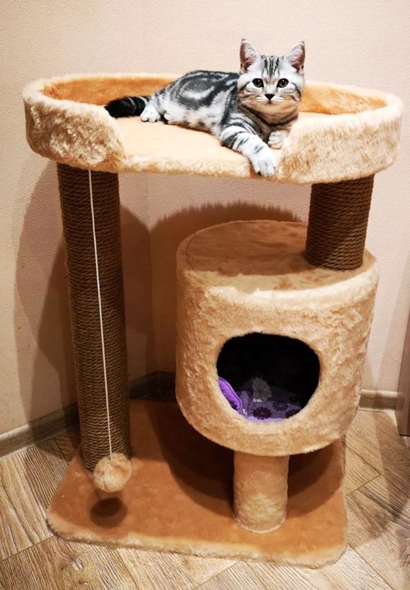 Домик для кошек