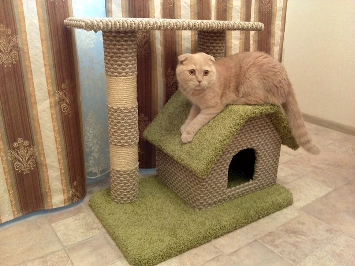 Домик для кошек
