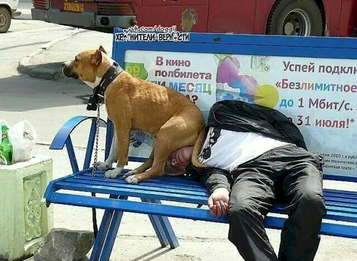Доминируй властвуй унижай