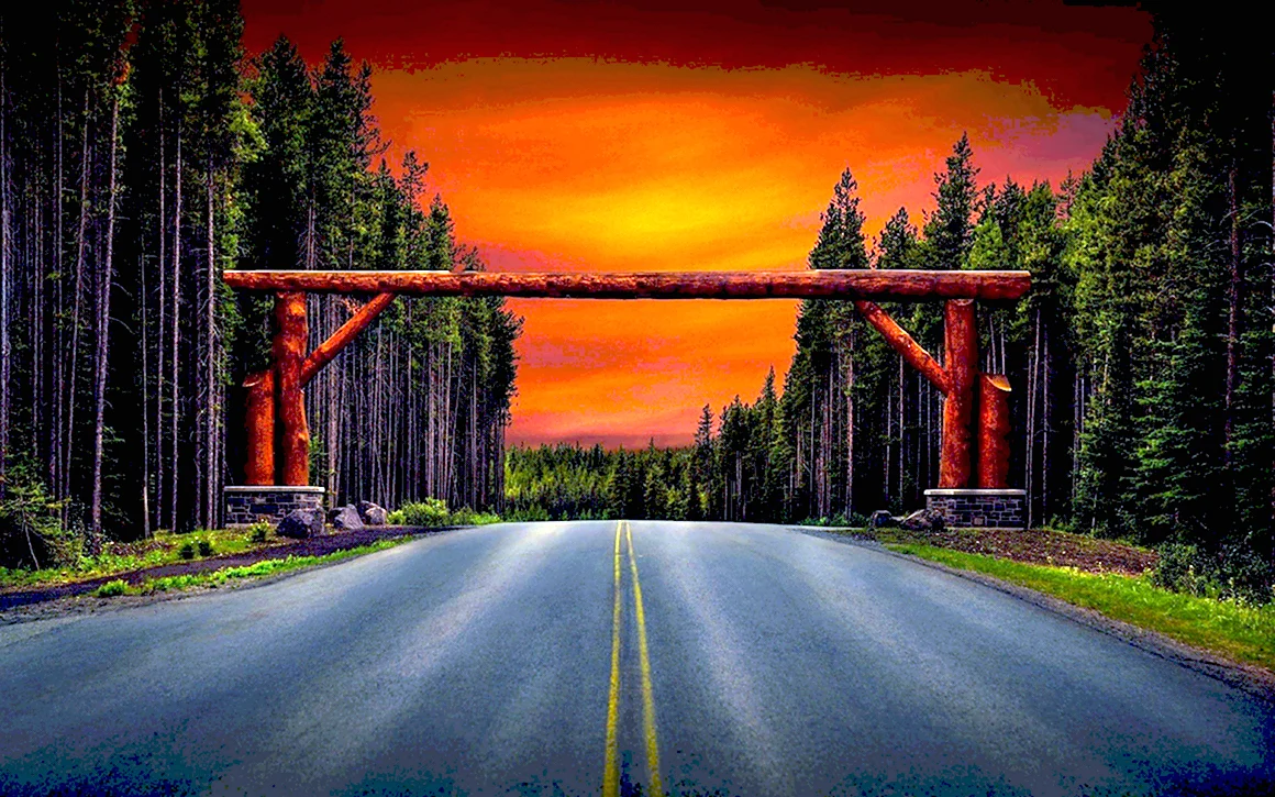 Дорога в лесу