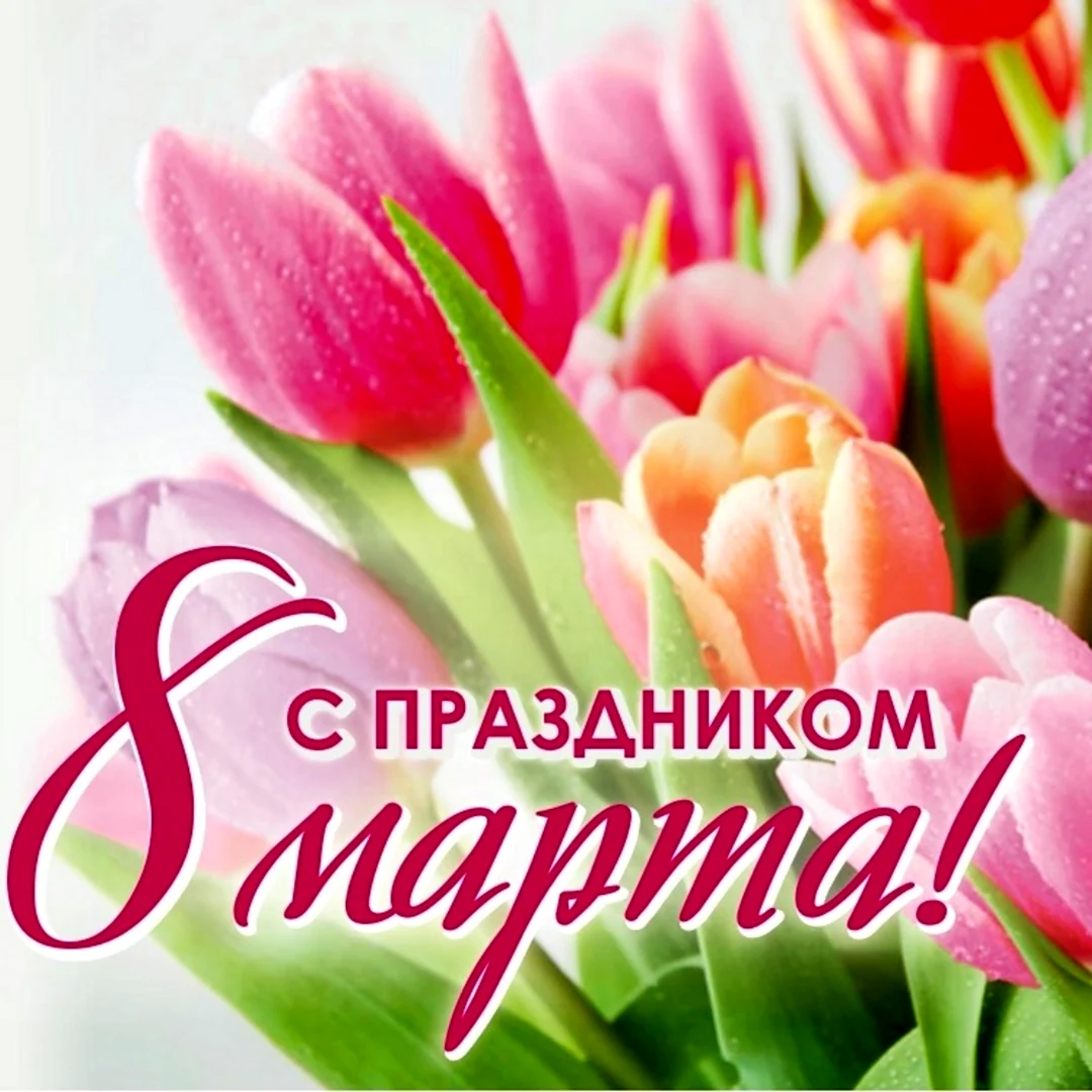 Дорогие учителя с международным женсктм днём
