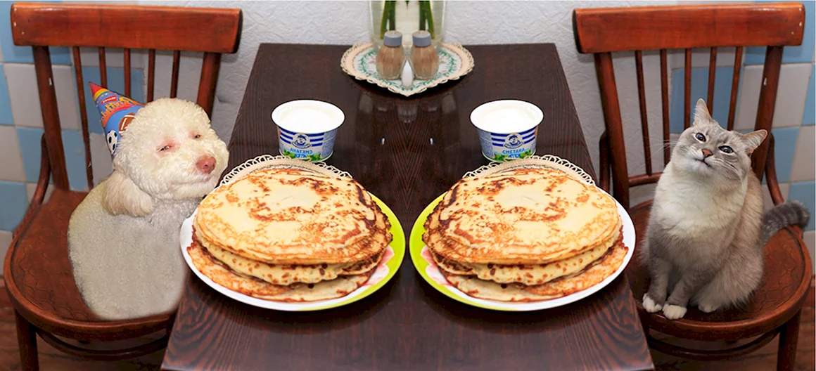 Довольный кот с блинами
