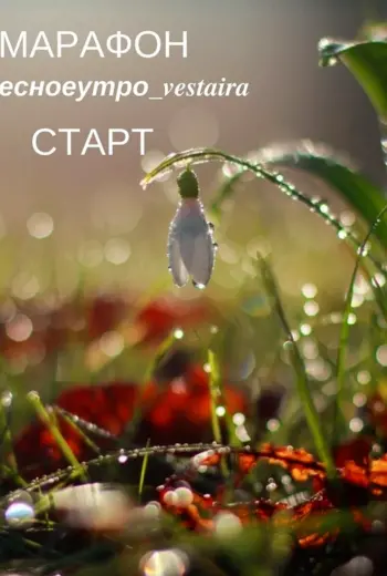 Дождь и солнце
