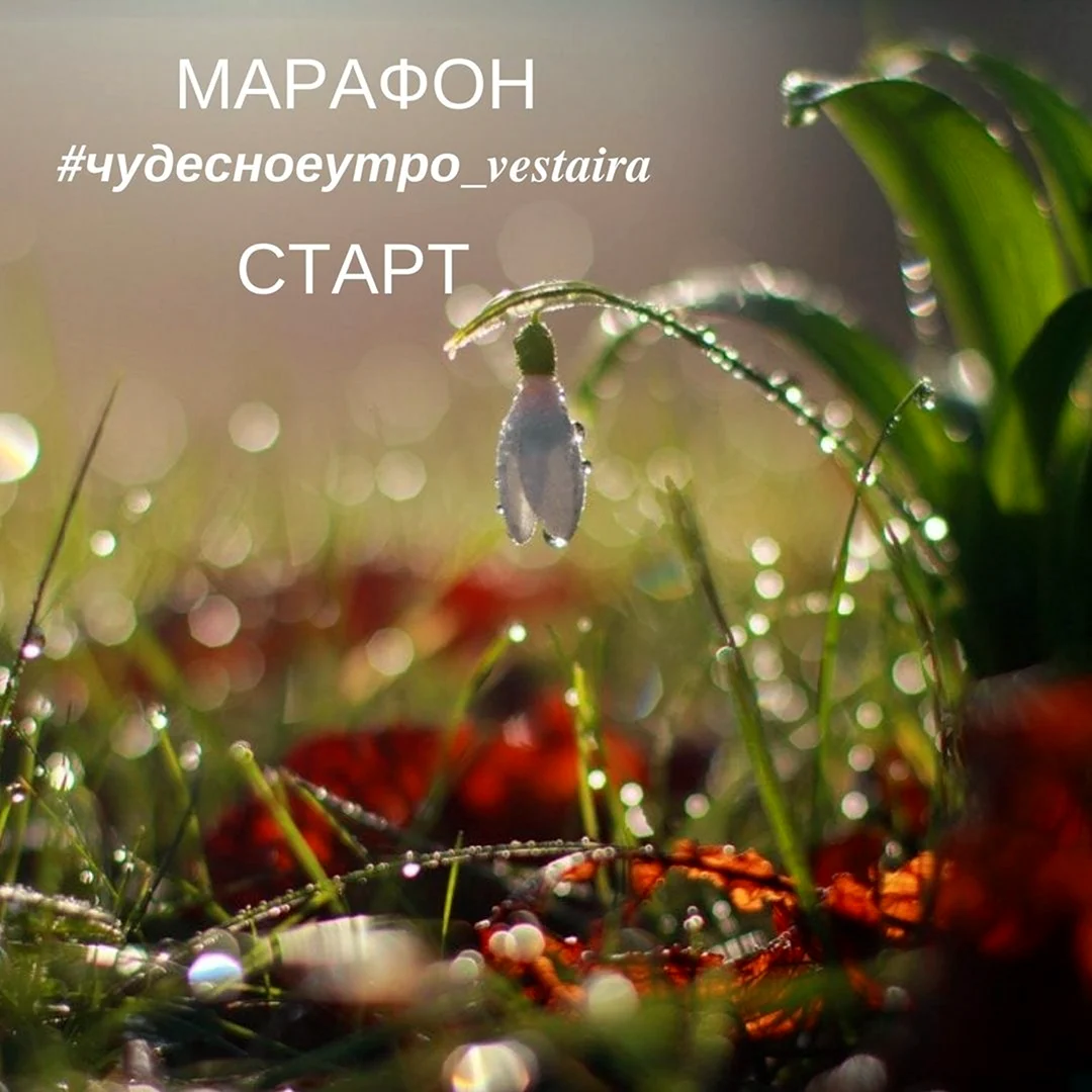 Дождь и солнце