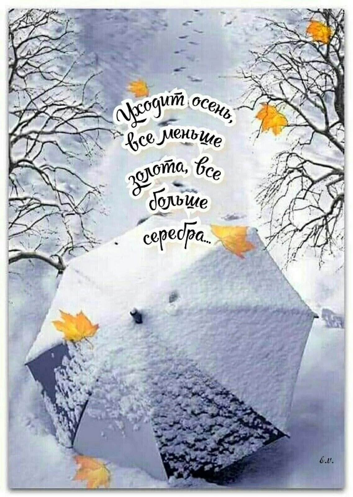Дождливое зимнее утро