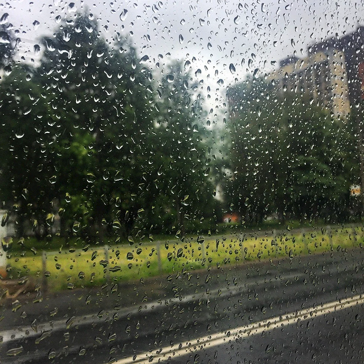 Дождливый день