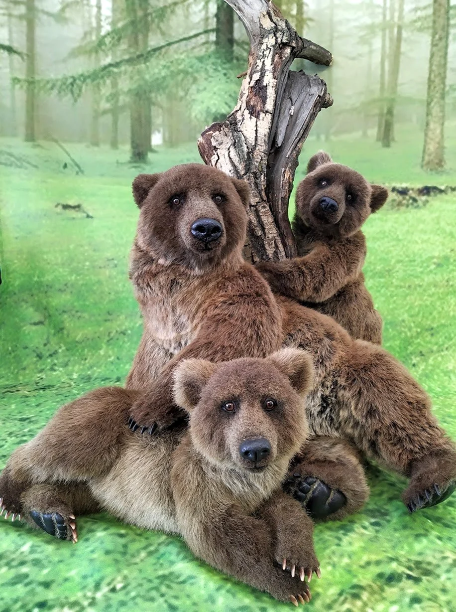 Дружная семейка