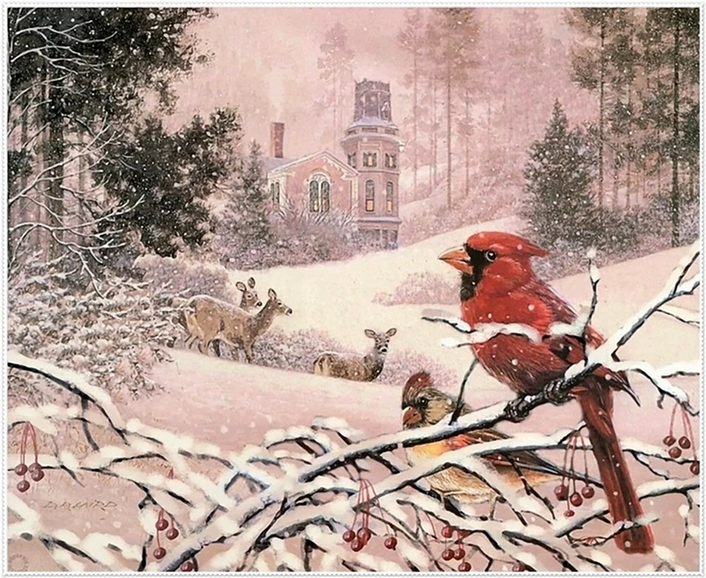 Дуглас Росс Лэрд