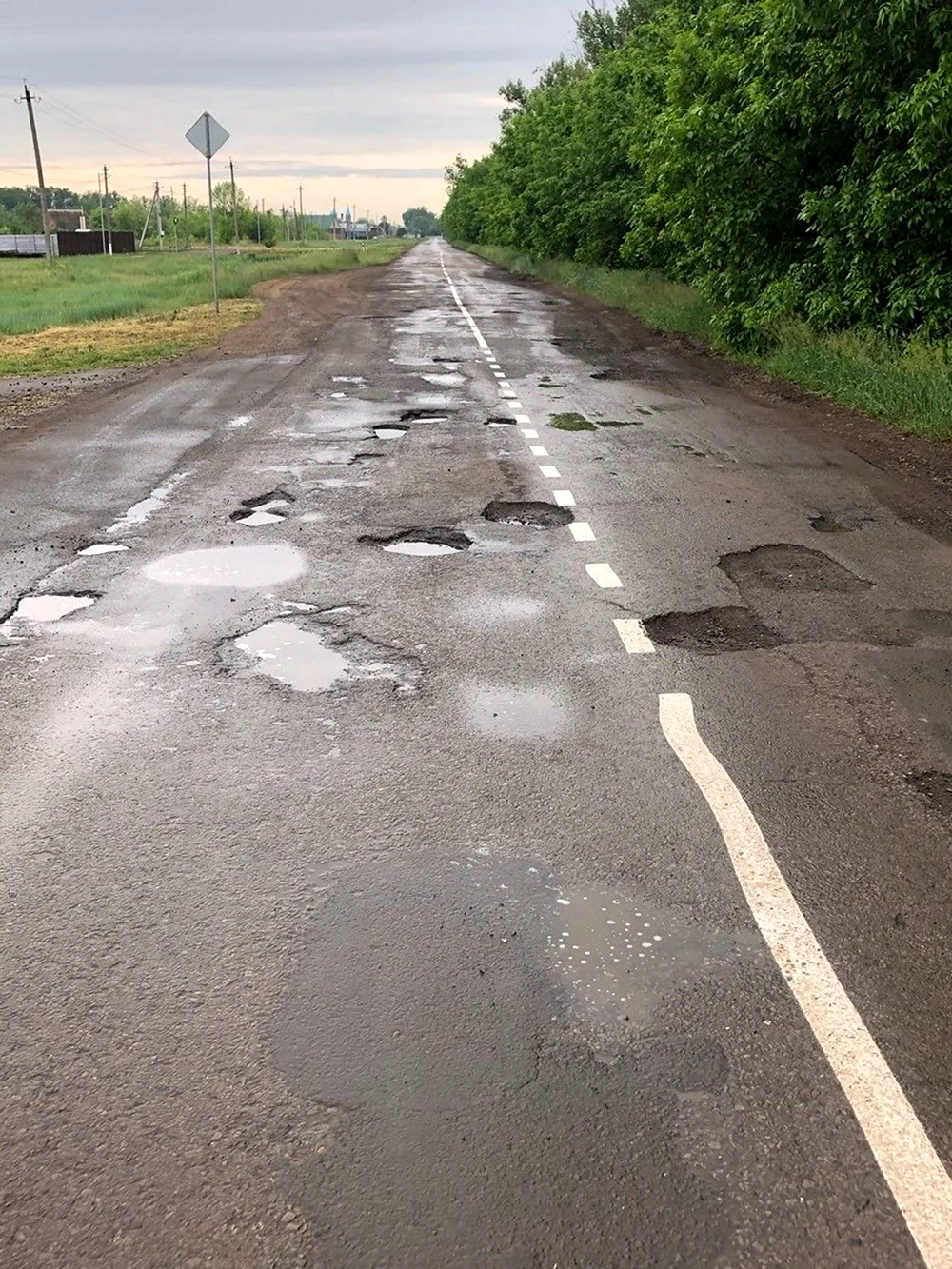 Дураки и дороги