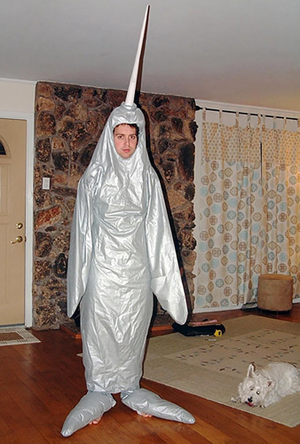 Дурацкий костюм