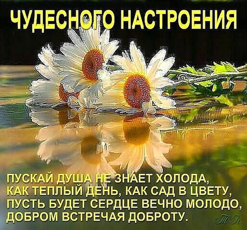 Душевного тепла и отличного настроения