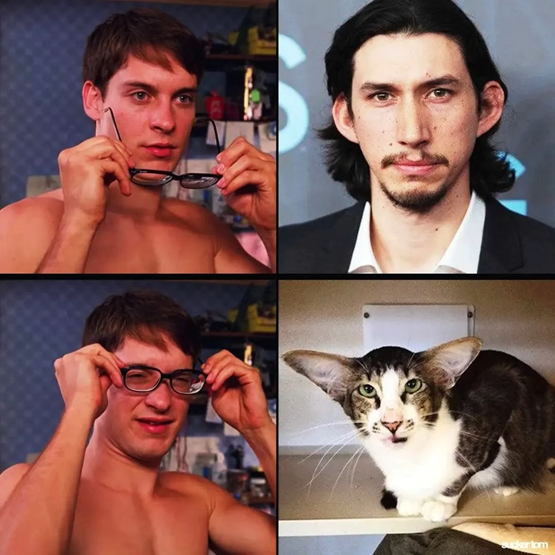 Двойники Адама драйвера