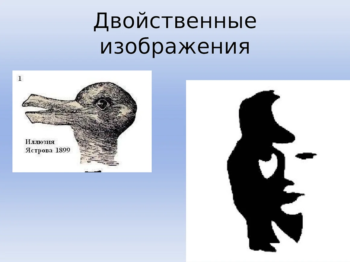 Двойственные изображения