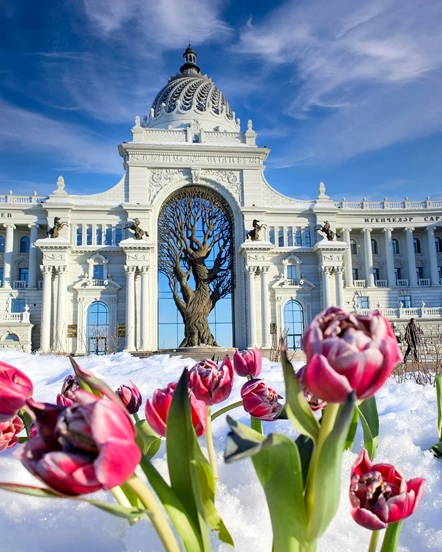 Дворец земледельцев Казань