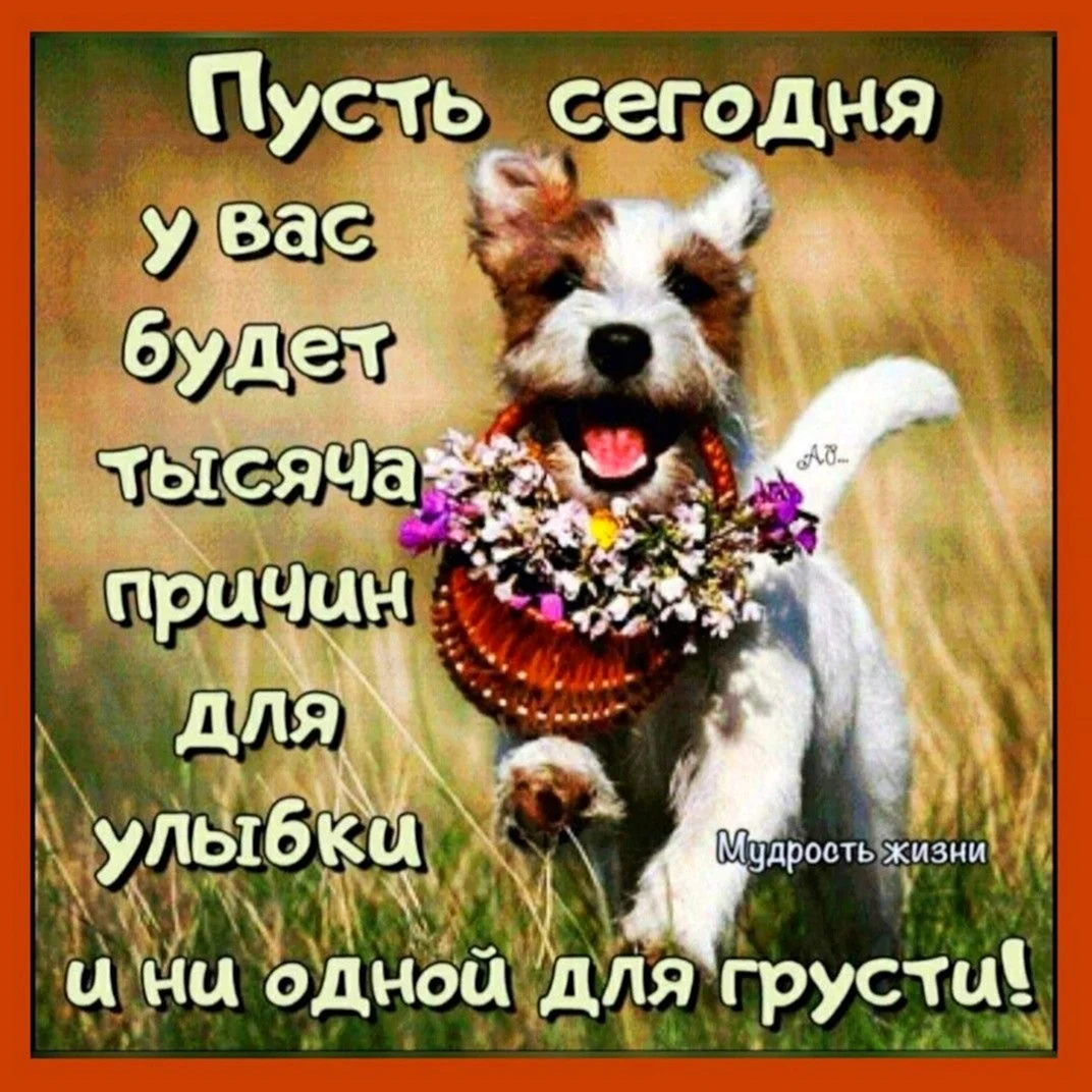 Джек Рассел