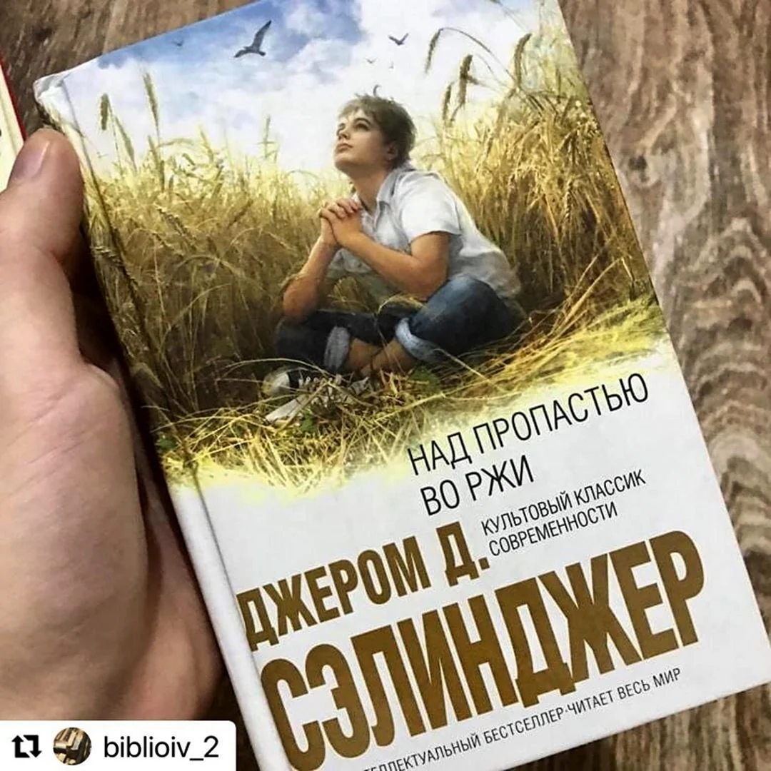 Джером Сэлинджер над пропастью во ржи