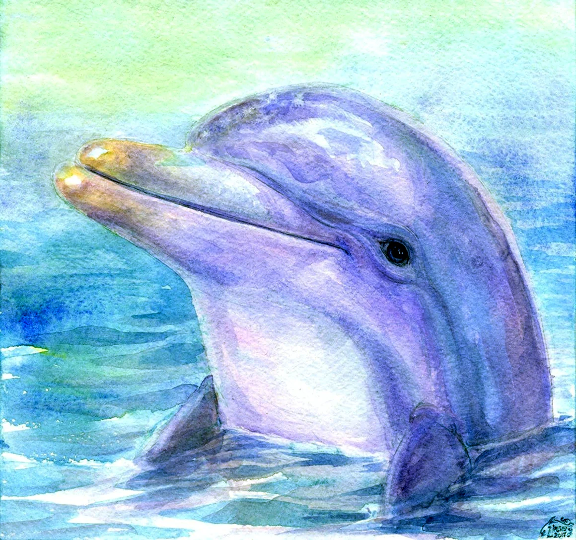 Ecco the Dolphin