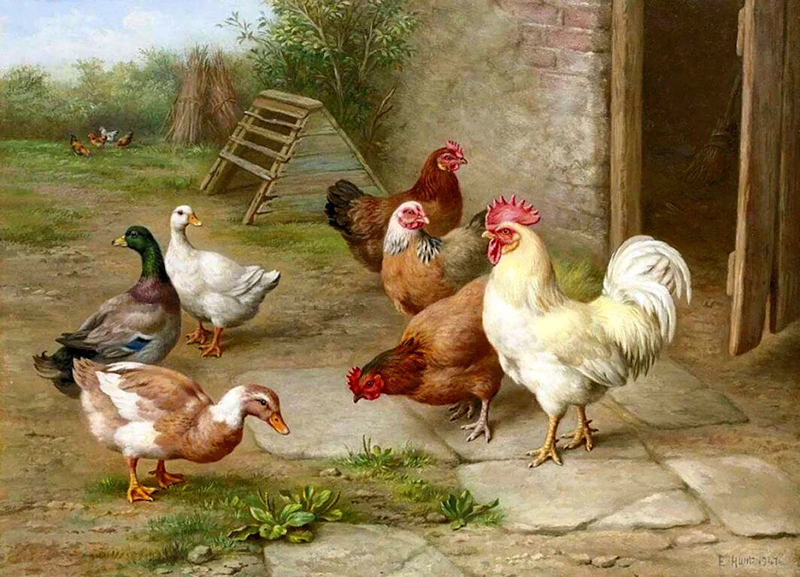 Эдгар Хант птичий двор