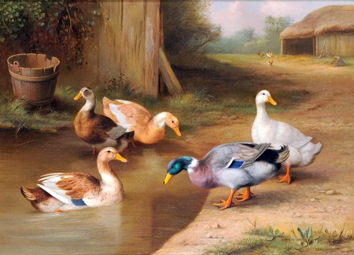 Эдгар Хант птичий двор