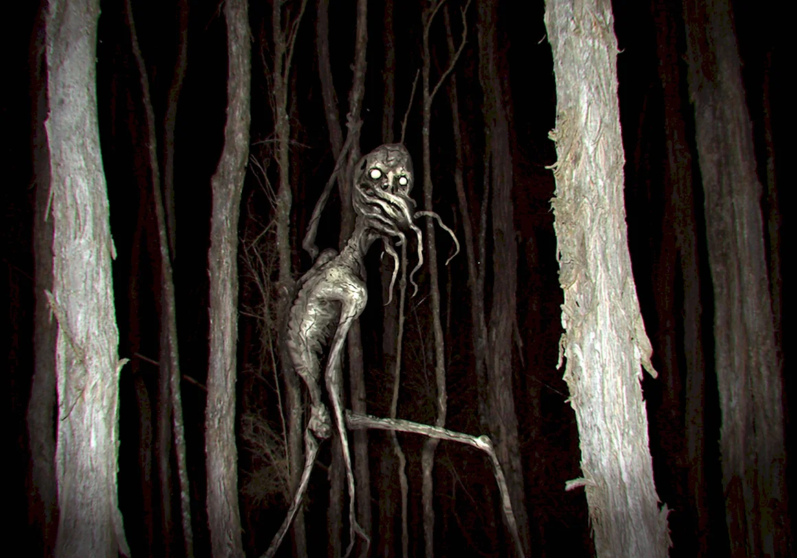 Екатерина Морозова SCP 4666