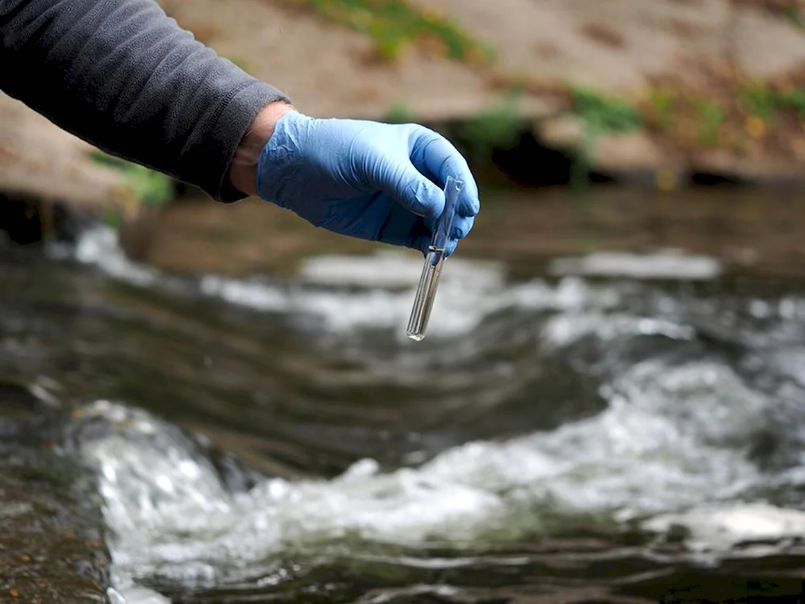 Экология воды