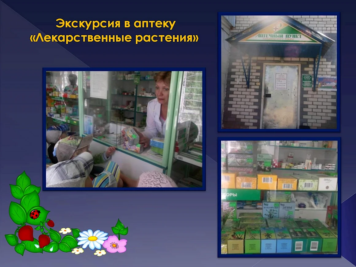 Экскурсия в аптеку