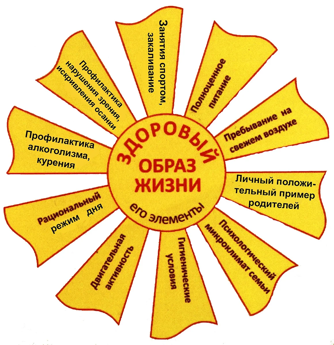 Элементы здорового образа жизни
