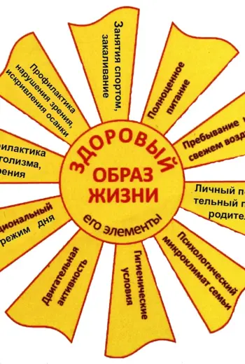 Элементы здорового образа жизни