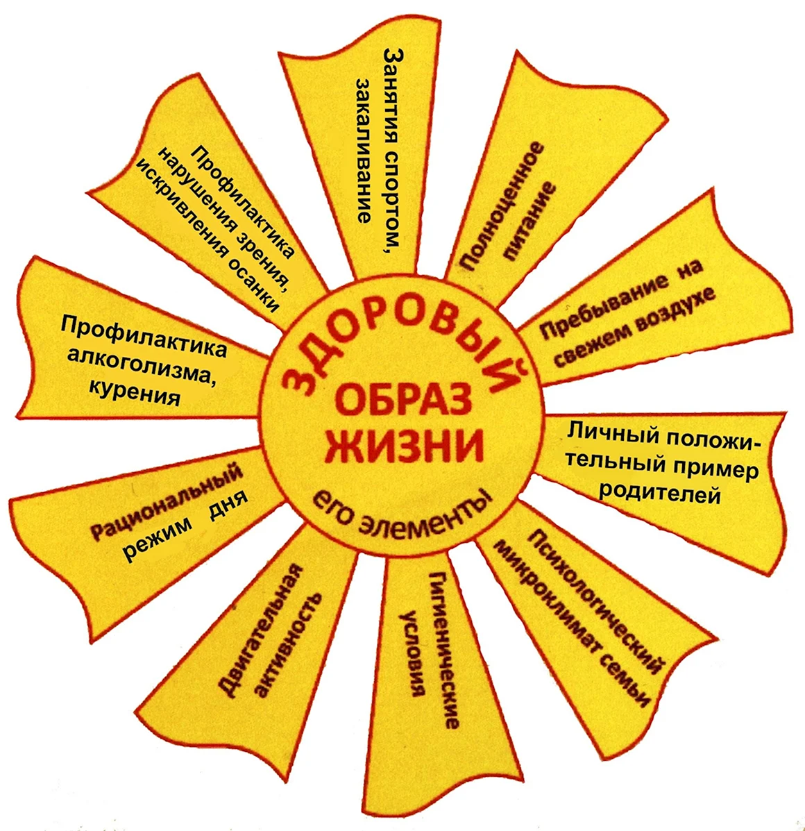 Элементы здорового образа жизни