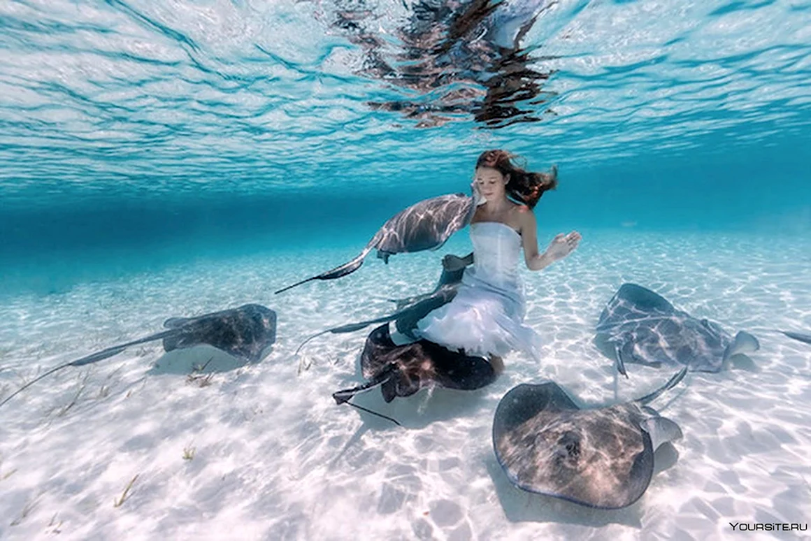 Елена Калис Underwater