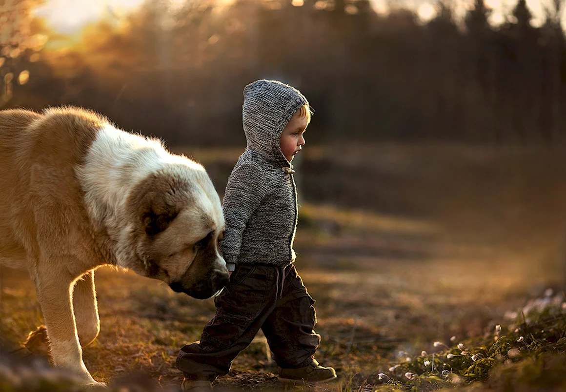 Elena Shumilova фотограф