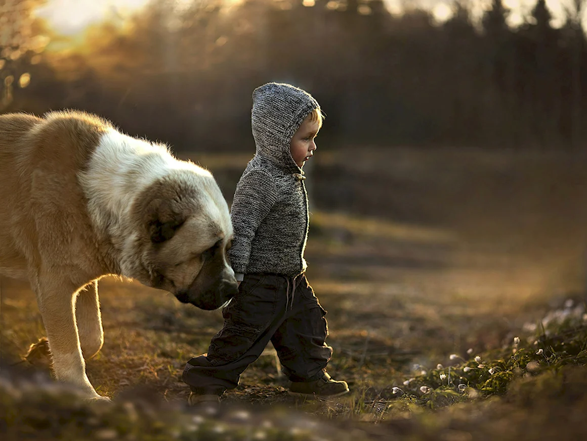Elena Shumilova фотограф