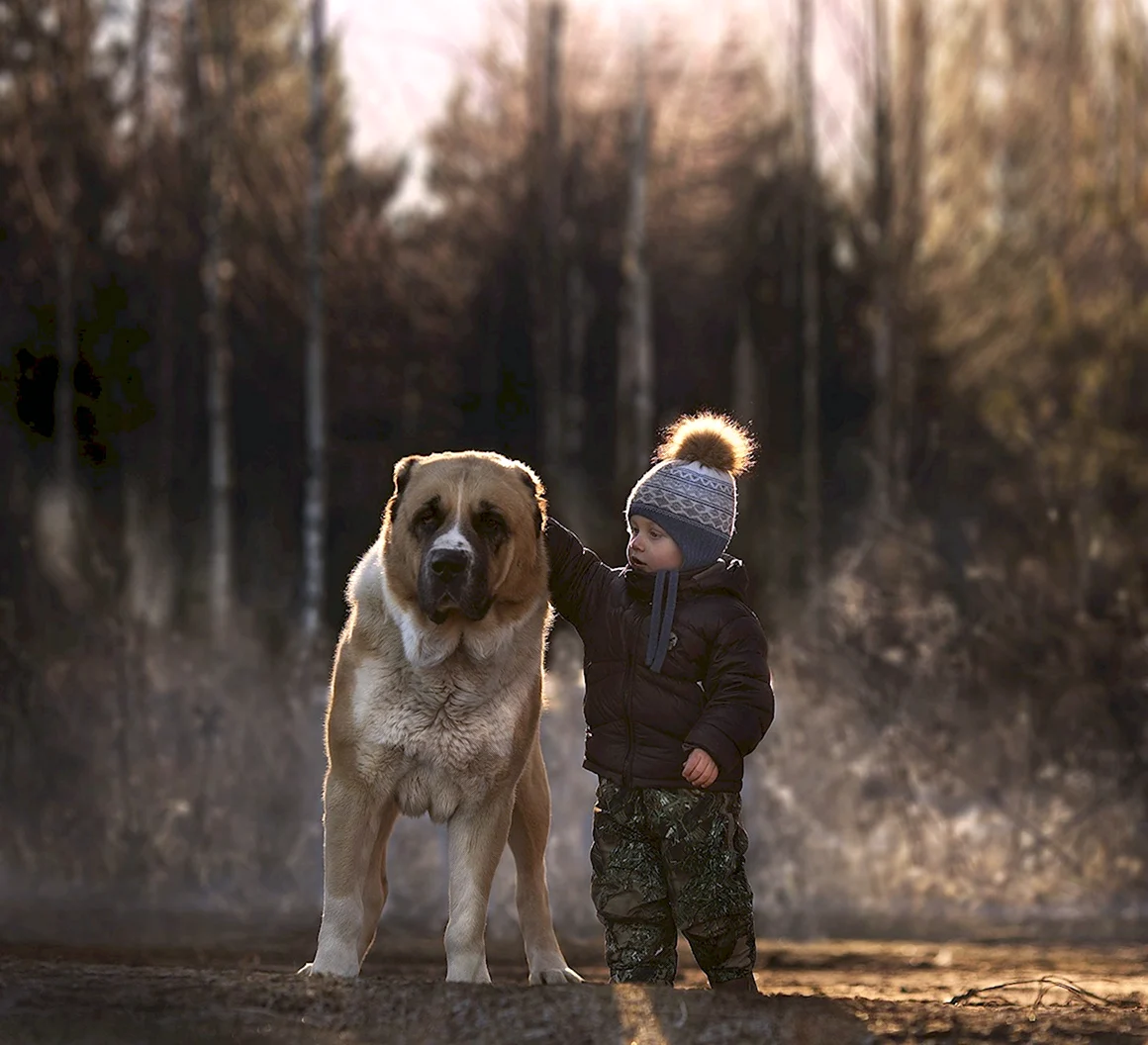 Elena Shumilova фотограф