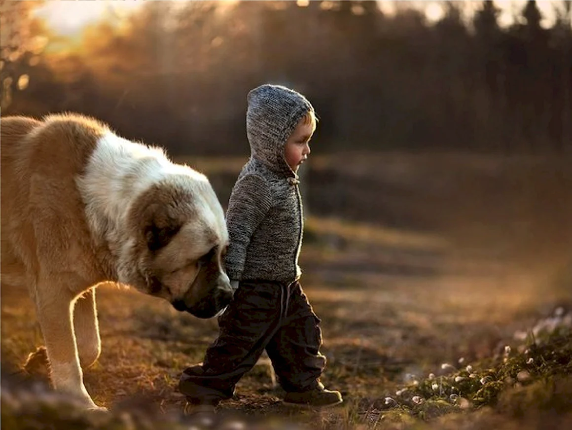 Elena Shumilova фотограф
