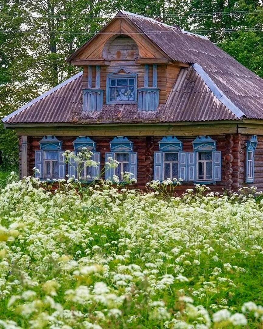 Елохово Большесельский район