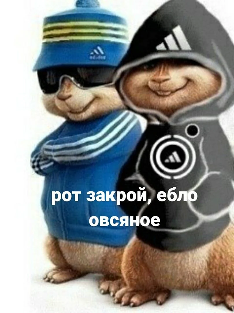 Элвин и бурундуки адидас