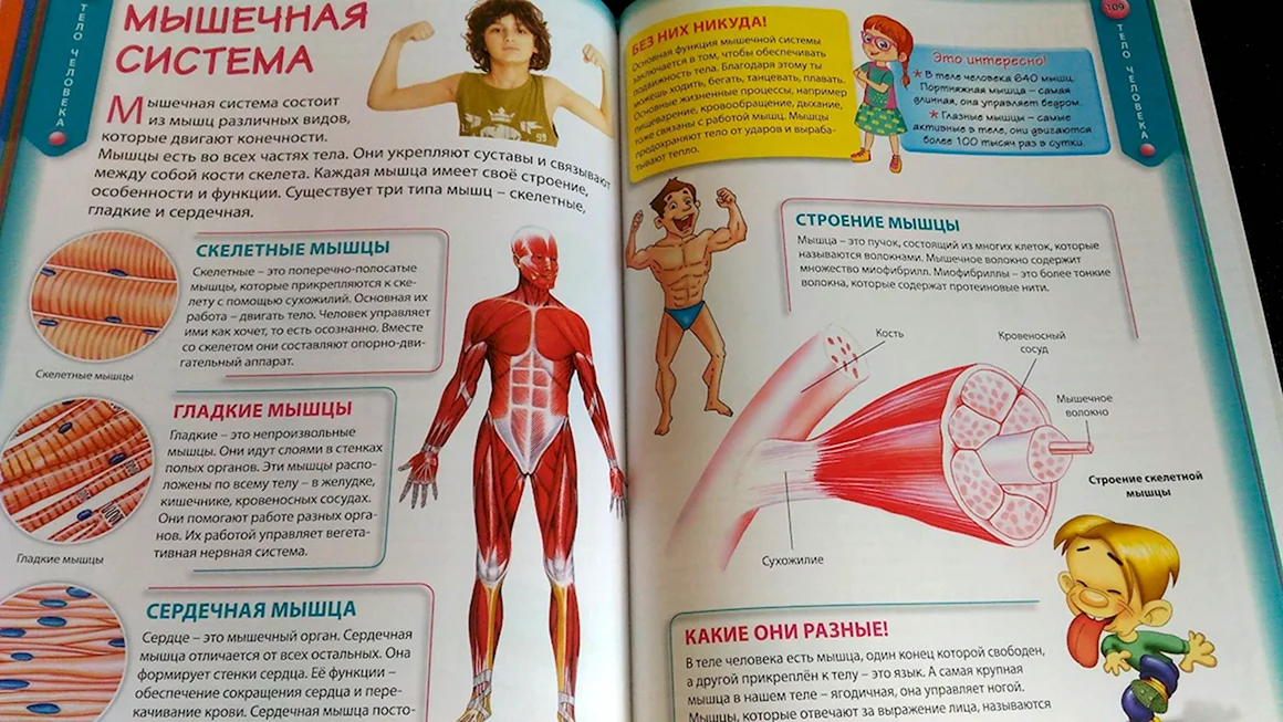 Энциклопедии для детей 5-6 лет